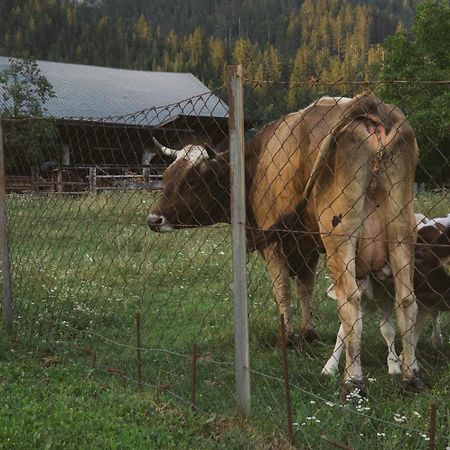 Landhaus Obervellach Hermagor-Pressegger See Luaran gambar