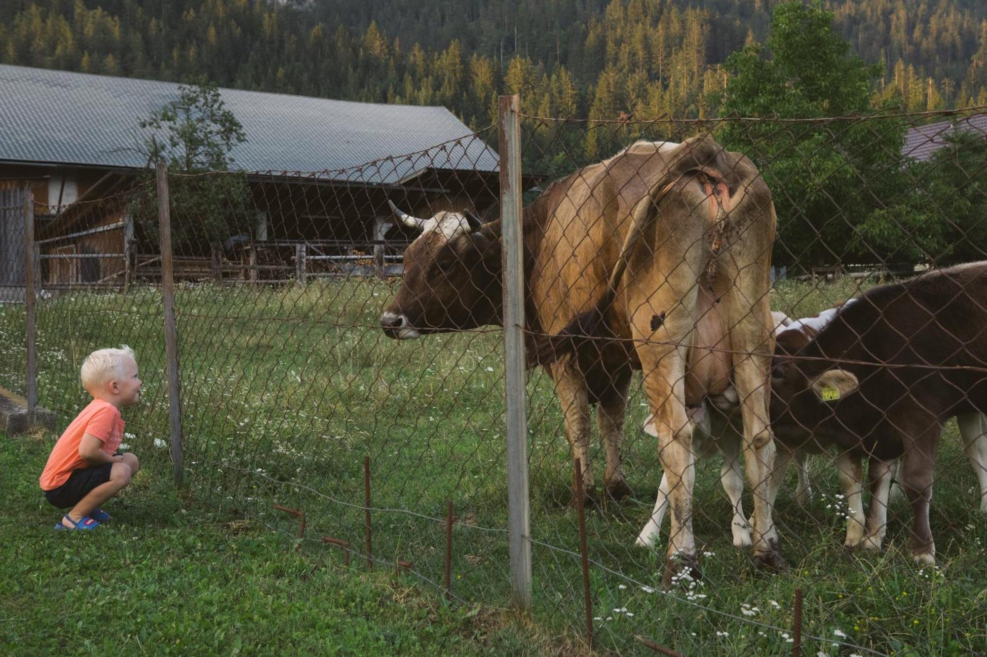 Landhaus Obervellach Hermagor-Pressegger See Luaran gambar